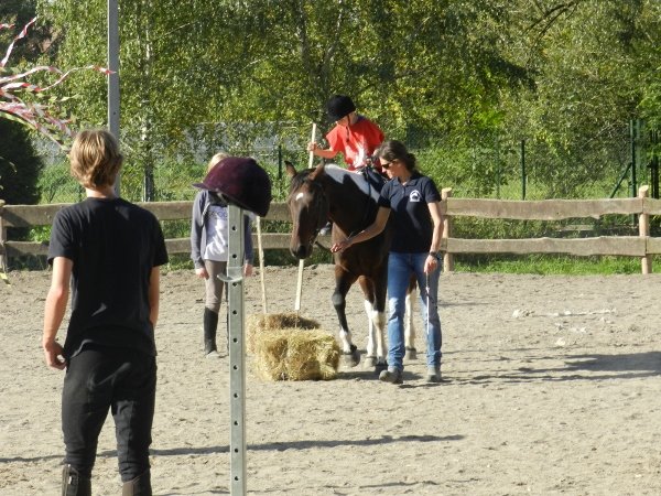 Babie Lato 2015